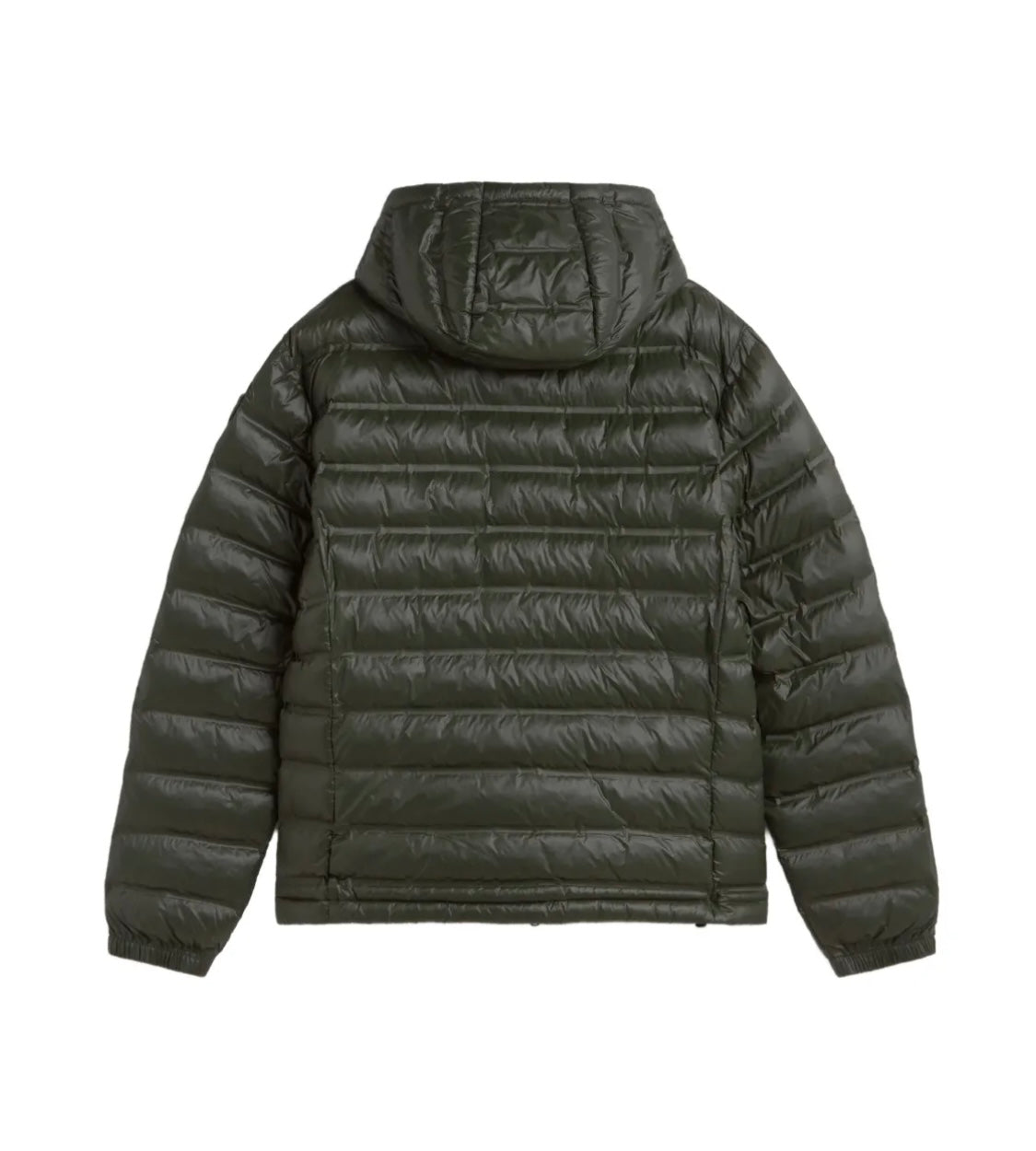 GIUBBOTTO BLAUER UOMO VERDE